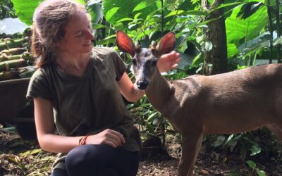Interview with Sophie from Kot Oasis