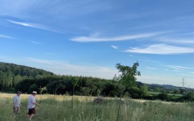 Newsletter Eté 2022