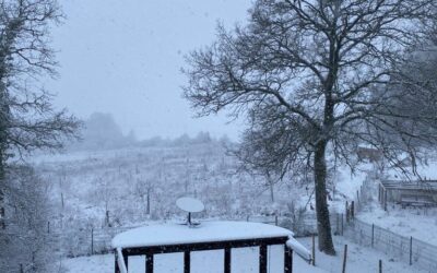 Newsletter Imbolc 2024