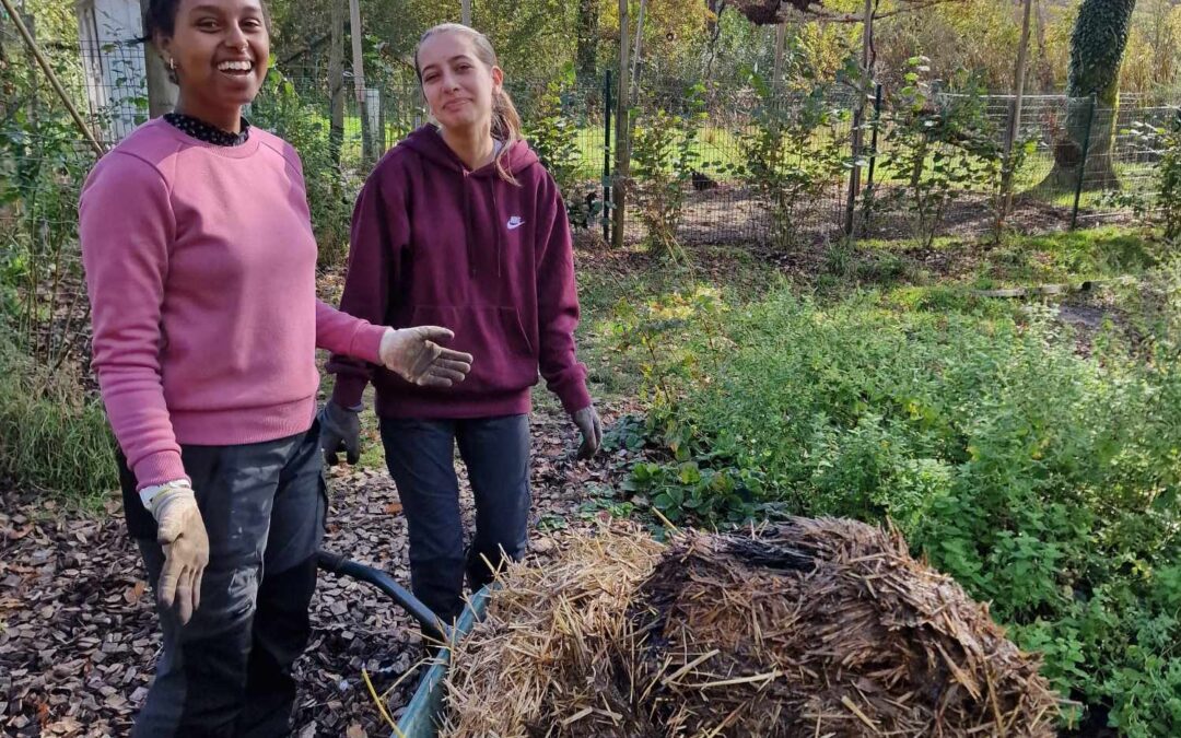 Cooperation agricultural internship Waldorf school Luxembourg 2024