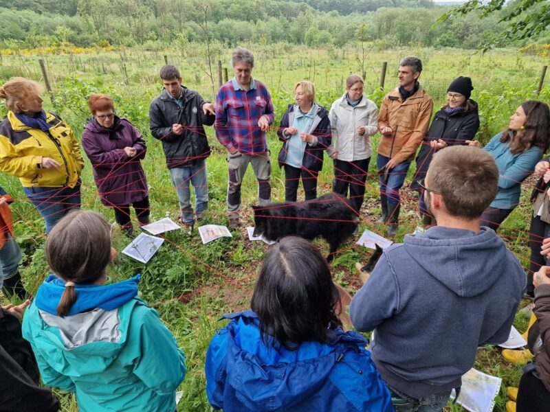 Residential Permaculture Design Certificate PDC 2026 (17.-31.07.2026)