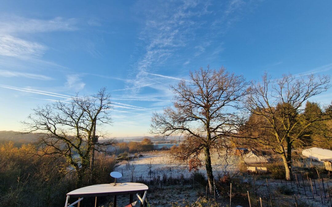 Newsletter Imbolc 2025