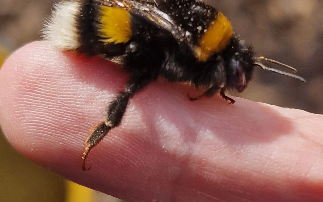 Équinoxe de printemps