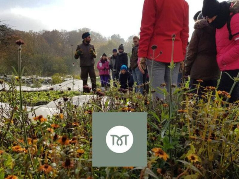 Residential Permaculture Design Certificate PDC 2026