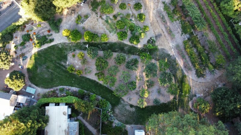 Session de coaching en design de permaculture