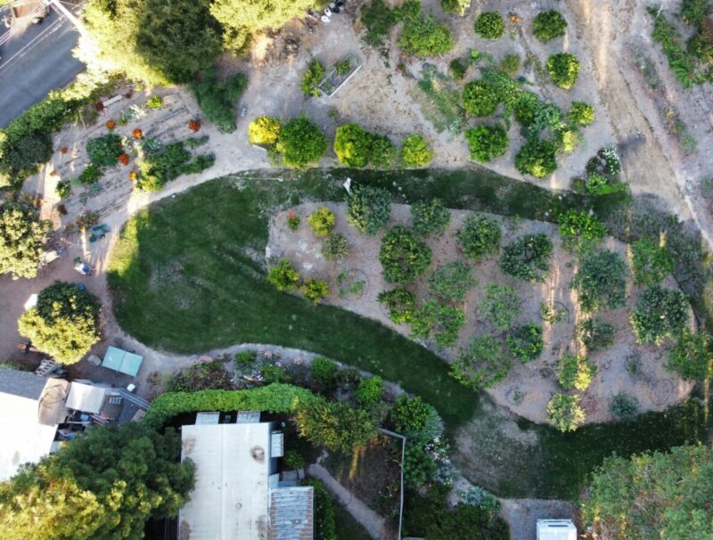 Permaculture Design Coaching Session
