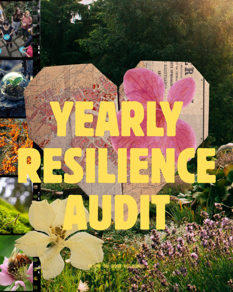 Yearly Resilience Audit
